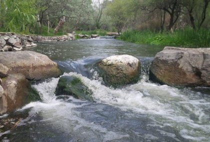 Piknik Alanları